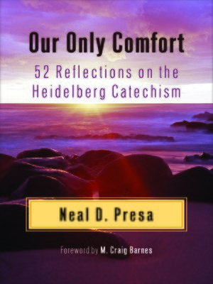 cover image of Our Only Comfort